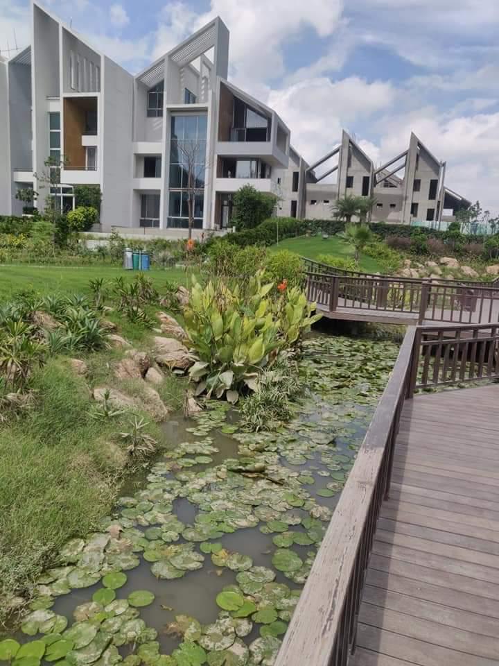 Rise Resort Resident